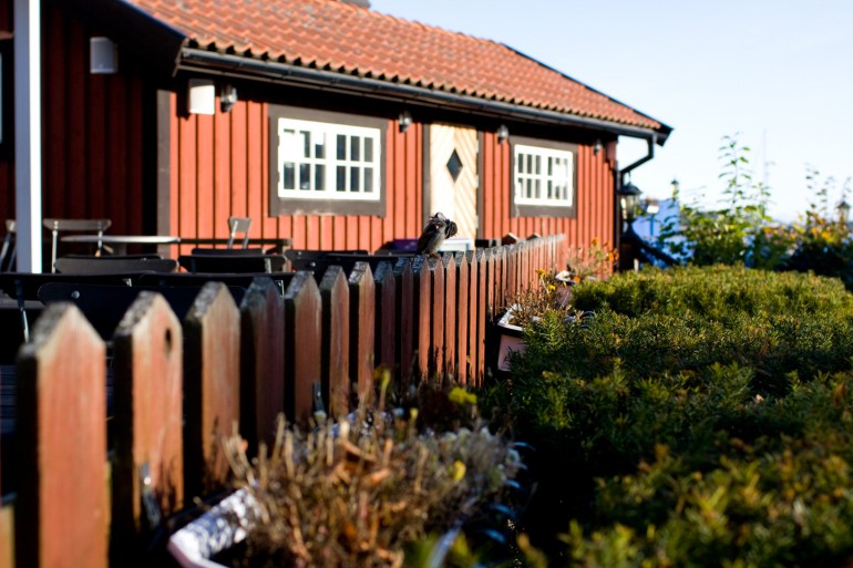Small cabin on Sandhamn