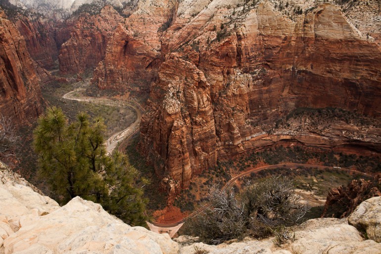 View from Angel's Landing in the Zion National Park