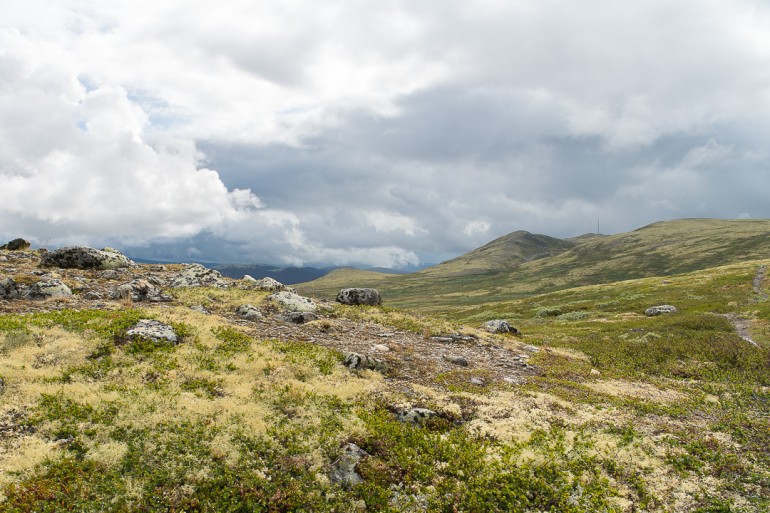 Dovrefjell close to Snøhetta